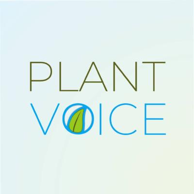 Hai perso "105 Startup"? Riascolta la storia di Matteo Beccatelli Ceo e Co-Founder di PlantVoice 