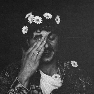 Daisies
