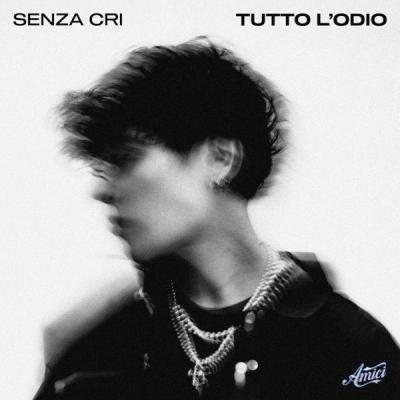 Tutto L'Odio