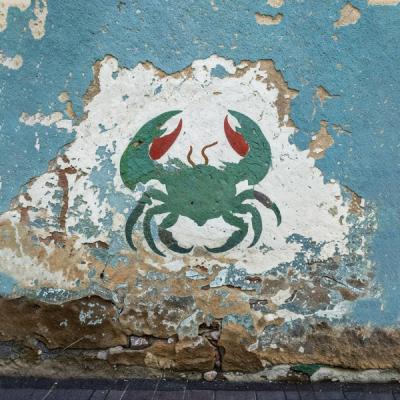 La Tana Del Granchio
