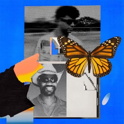 Butterflies