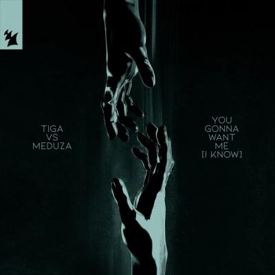 You Gonna Want Me (I Know) 