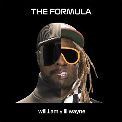 The Formula (feat. Lil Wayne)