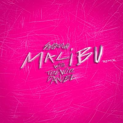 Malibu (Trevor Daniel Remix)
