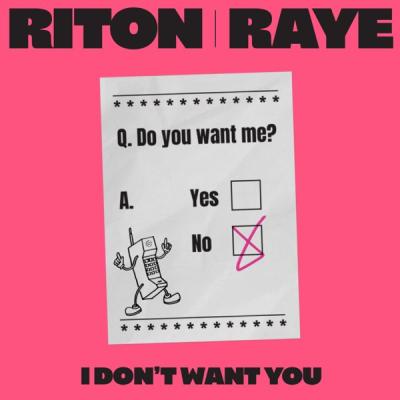I Don't Want You (feat. Raye)

