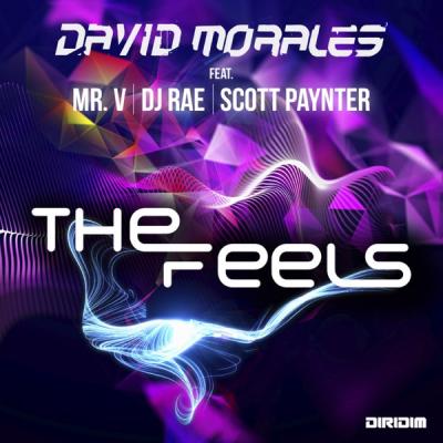 The Feels (feat. DJ Rae Mr. & Scott Paynter)