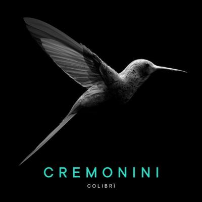 Colibrì
