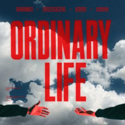 Ordinary Life (feat. Kiddo)
