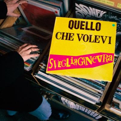 Quello Che Volevi