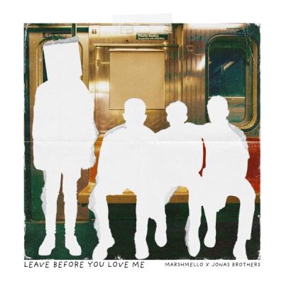 Leave Before You Love Me
