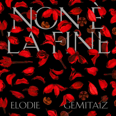 Non è la fine (feat. Gemitaiz)