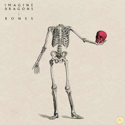 Bones
