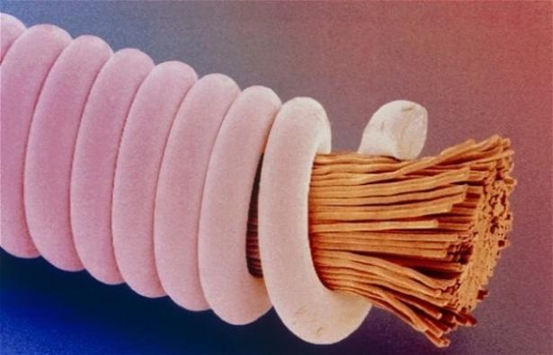 Corda di chitarra