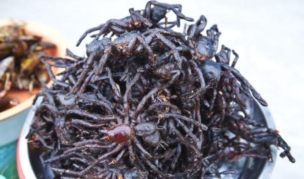 Tarantole Fritte