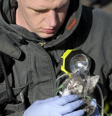 Il vigile del fuoco e il gattino