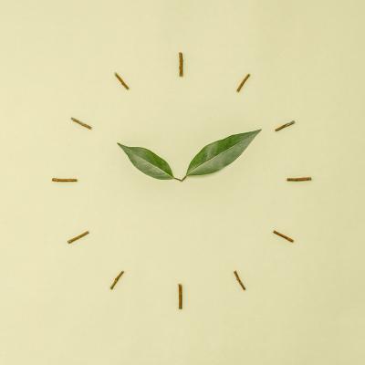 Domenic Bahmann