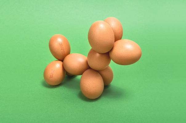Domenic Bahmann