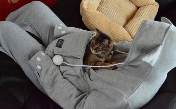  La felpa con la tasca porta-gatto. 