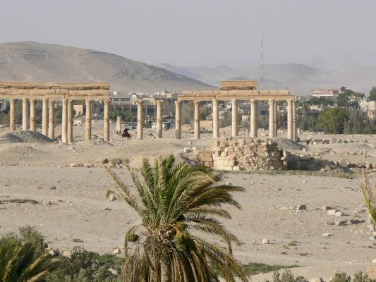 7) La lotta all’Isis. 