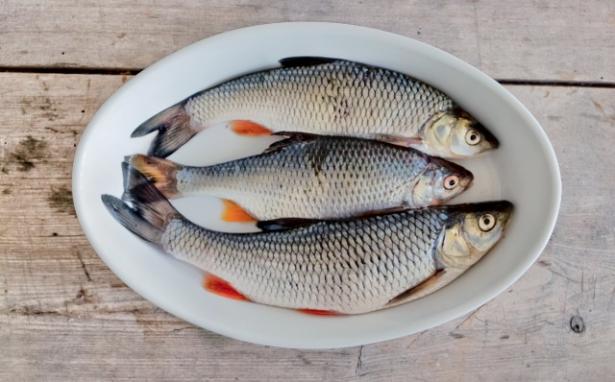 Pesce