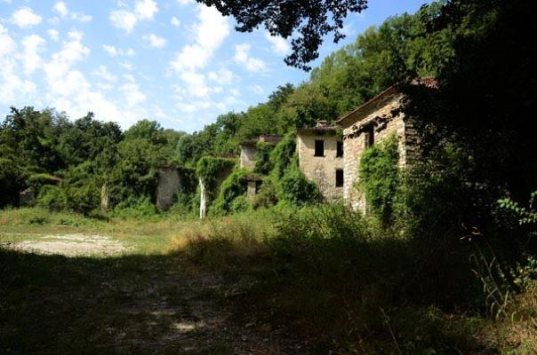 Case abbandonate nel mezzo del bosco.