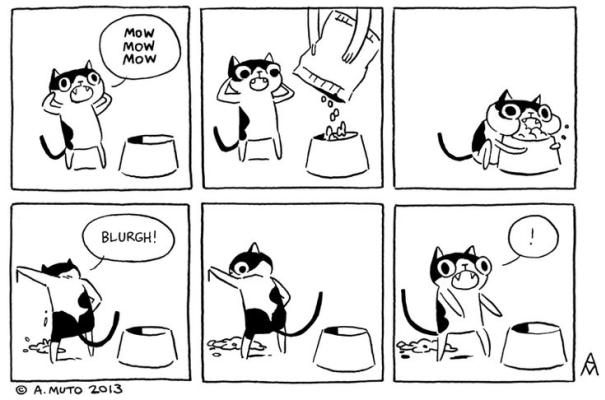 I gatti hanno appetito