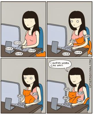 Quando lavori al computer