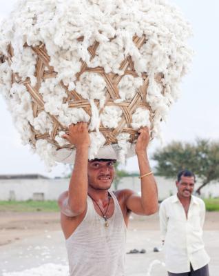 L'importanza del cotone