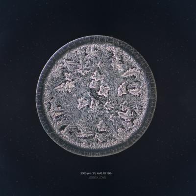 Ogni lacrima ha una diversa cristallizzazione