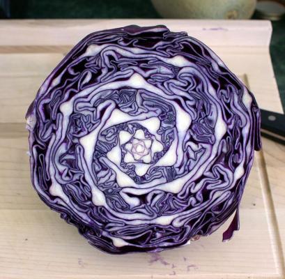 Verdure geometriche
