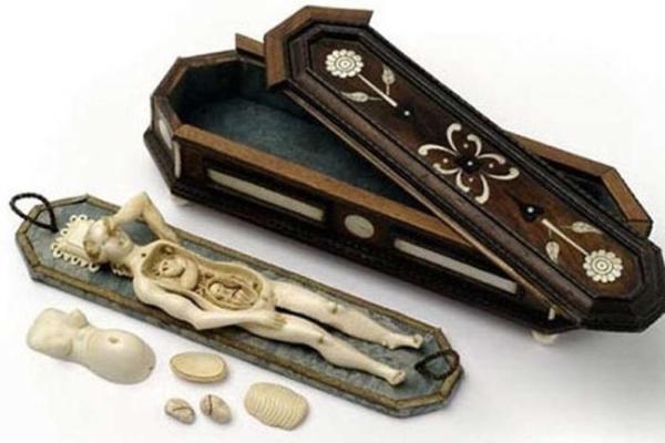 Un tempo ai dottori non era consentito toccare le pazienti e per descrivere i sintomi utilizzavano questi modellini anatomici.
