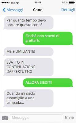 L’umiliazione del collare elisabettiano