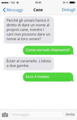  Vendette trasversali sui nomi assurdi dati al proprio cane