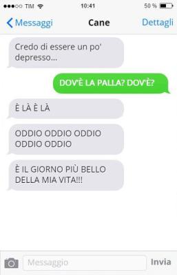 Basta una pallina per farli felici