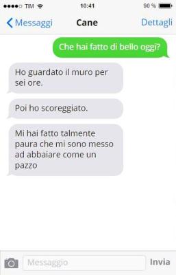 Abbaiare per ogni motivo