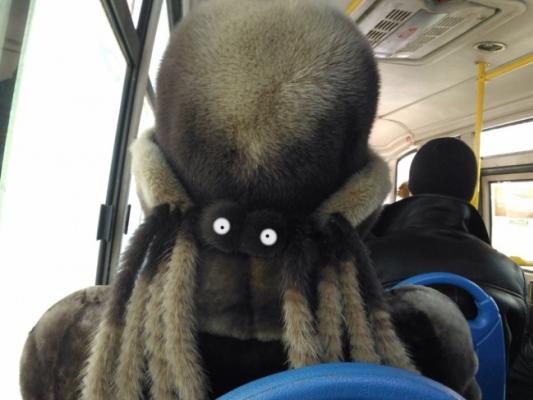 Strani incontri sull’autobus