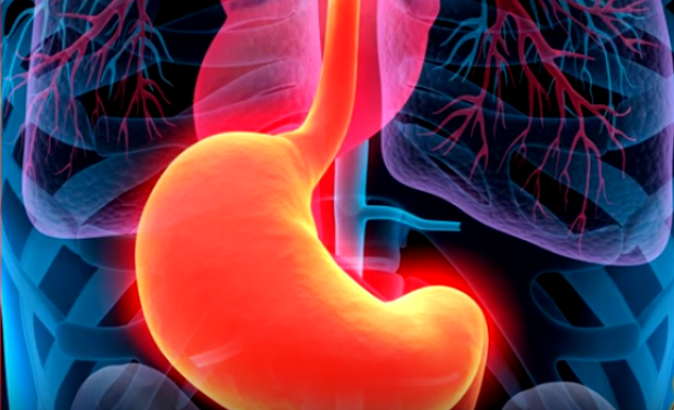 8. Acido gastrico