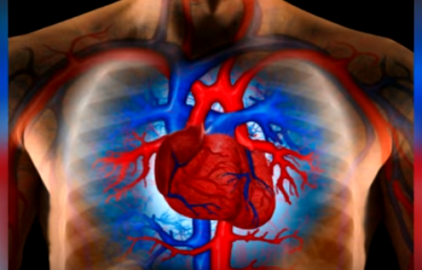 10. Pulsazioni cardiache
