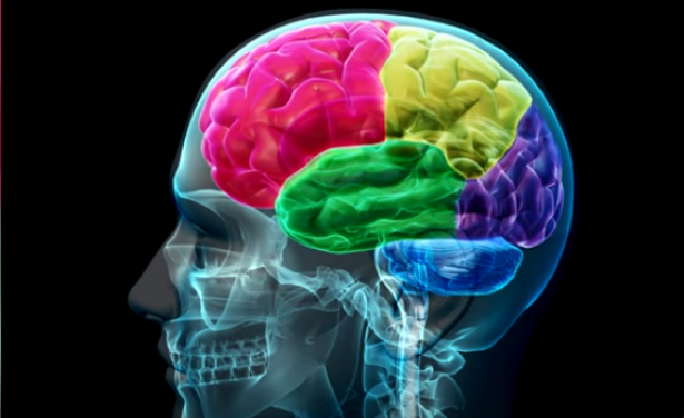 12. Intelligenza