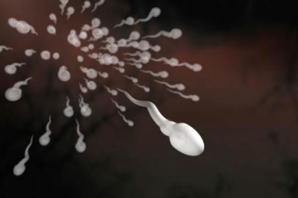 Quanti spermatozoi in una eiaculazione?