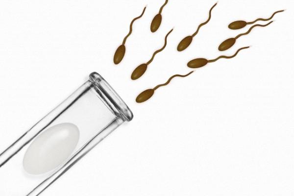 Esistono i “raccoglitori automatici” di sperma