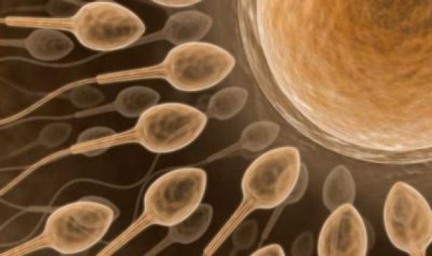 Lo sperma è molto calorico? 