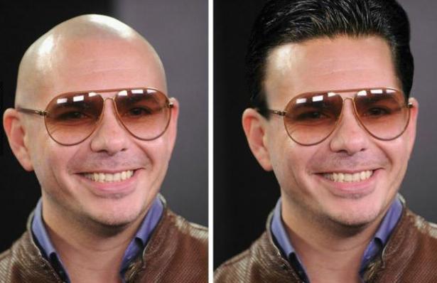 Pitbull