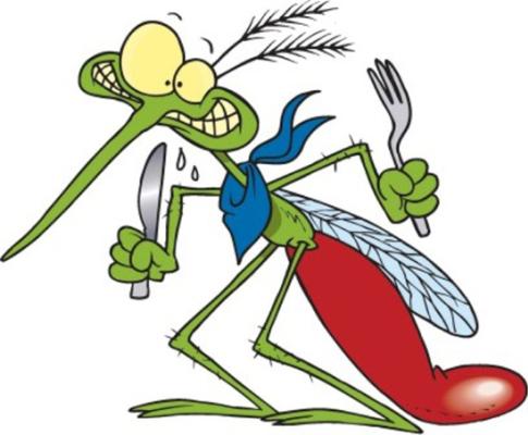 Acido lattico, ammoniaca e acido urico