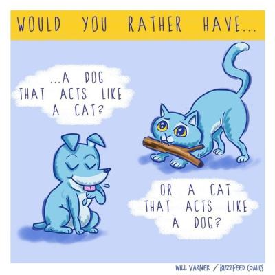 Cane o gatto?