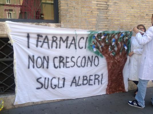 5. La sperimentazione animale è inutile
