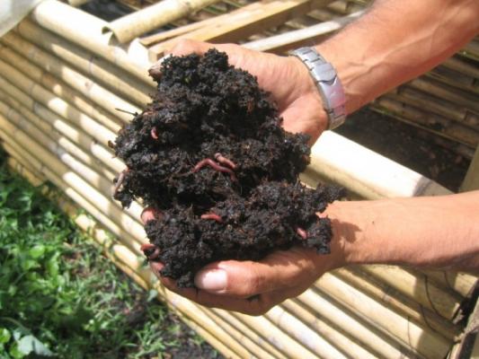 Nel compost