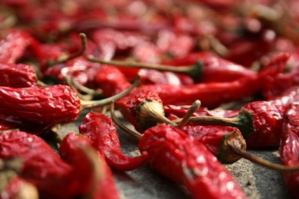 2.     Il peperoncino