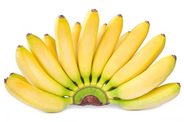  Banane e DNA