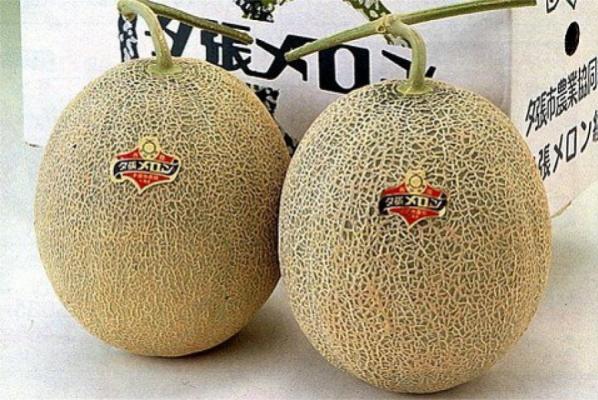 La più costosa